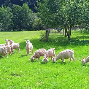 Gasthuis Au Mohair Des Alpy Fougax-et-Barrineuf